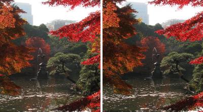 日比谷公園 紅葉越しの鶴の噴水 平行法3Dステレオ立体写真