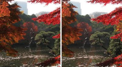 日比谷公園 紅葉越しの鶴の噴水 交差法3Dステレオ立体写真