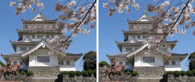 桜と千葉城 平行法ステレオ立体３Ｄ写真
