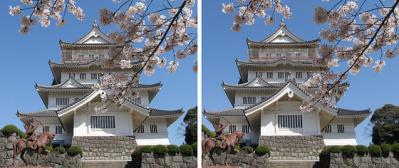 桜と千葉城 交差法3Dステレオ立体写真