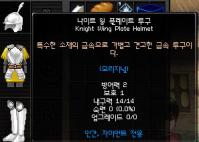 Knight_Wing_Plate_Helmet.jpg