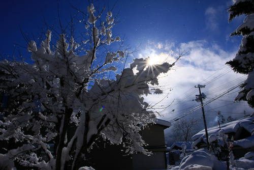 秋田県湯沢市の雪景色