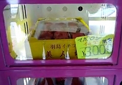 １万円のイチゴが売られている自動販売機