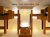 WEBサイト　The Cats' House