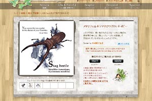 20110109_04.jpg