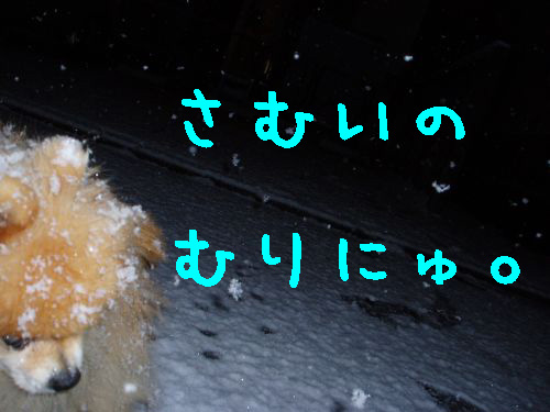 snow_with_cookie