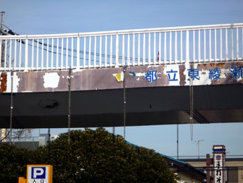 都立東綾瀬公園　三枚田橋　2010 2
