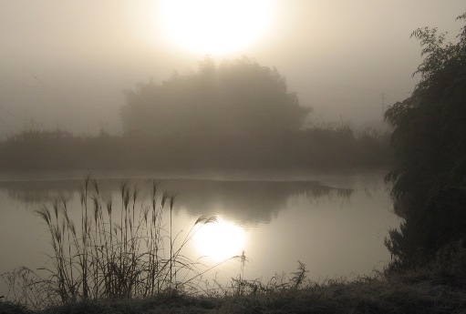 朝の池