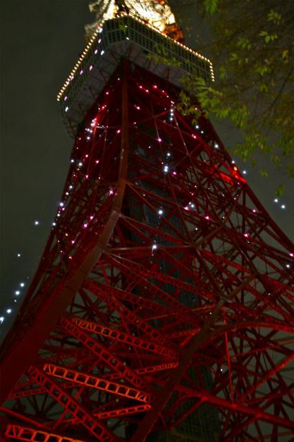 東京タワーの根本のイルミネーション6181
