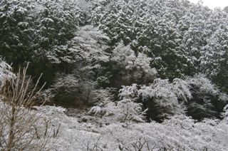 津久井城の山の雪景色