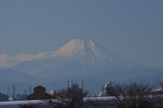 中浦和から見た富士山