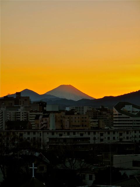 八王子から見た富士山2010-01-31