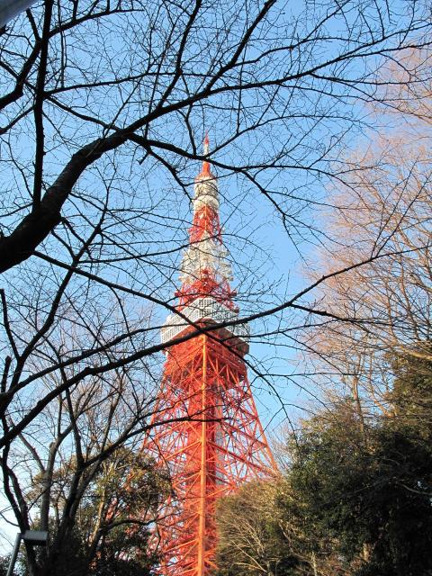 東京タワー昼0866