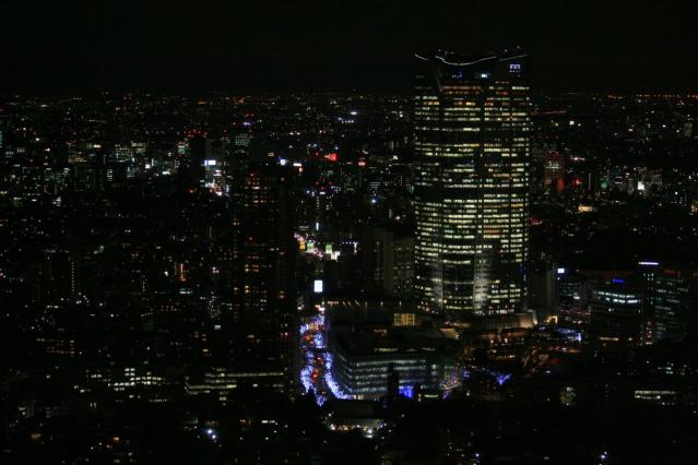 20101215東京タワーからの夜景6076