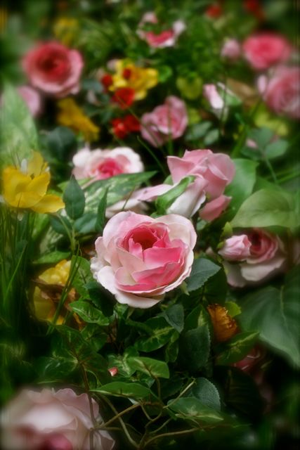 東京駅三菱一号館の裏の中庭の薔薇