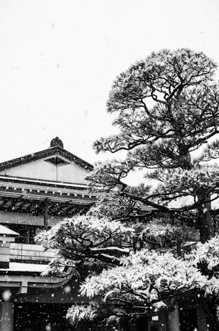 龍谷寺の雪