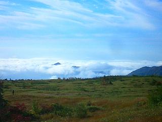 弥陀ヶ原で見た雲海