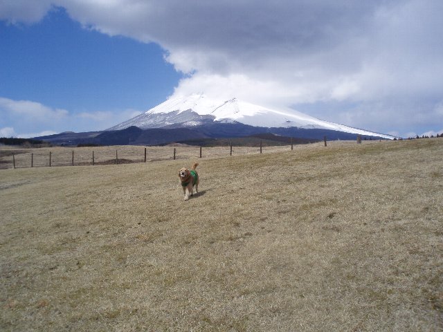 ３月２６日富士山須山口登山歩道 096