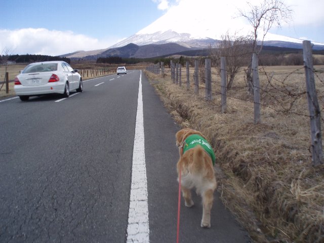 ３月２６日富士山須山口登山歩道 102