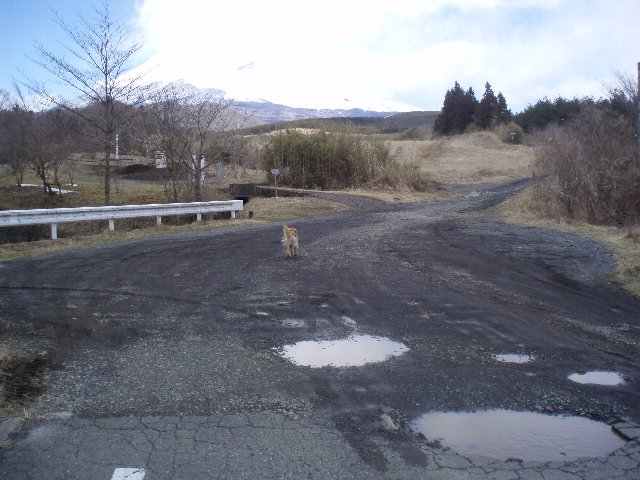 ３月２６日富士山須山口登山歩道 105