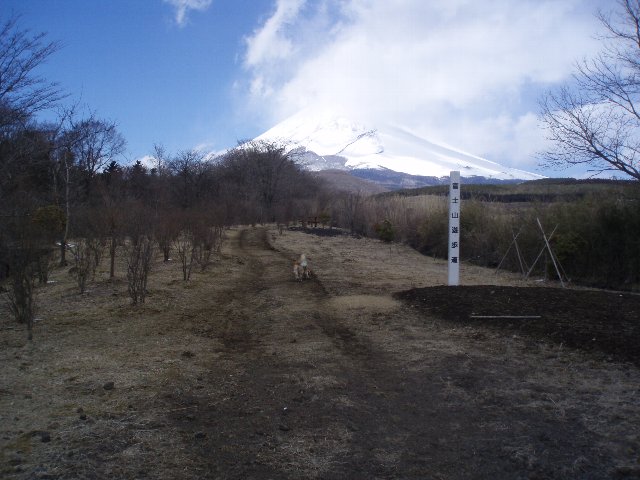 ３月２６日富士山須山口登山歩道 108