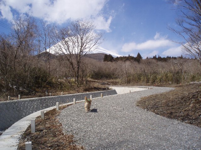 ３月２６日富士山須山口登山歩道 120