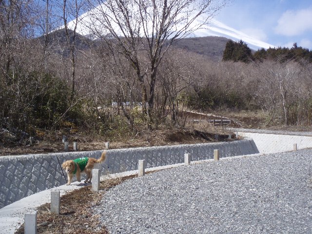 ３月２６日富士山須山口登山歩道 121