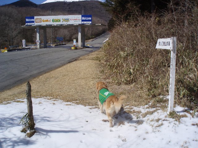 ３月２６日富士山須山口登山歩道 127