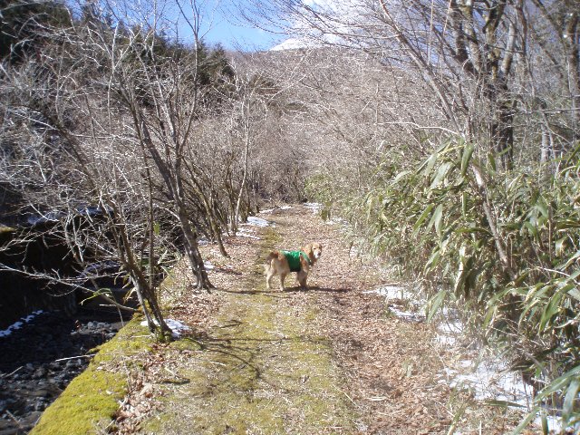 ３月２６日富士山須山口登山歩道 133