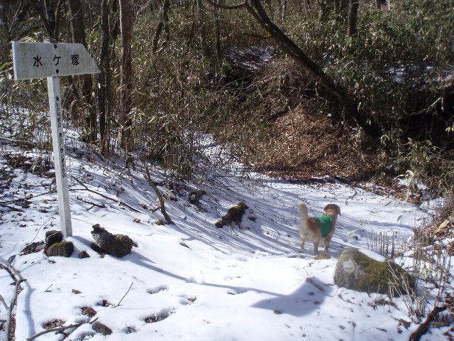 ３月２６日富士山須山口登山歩道 169