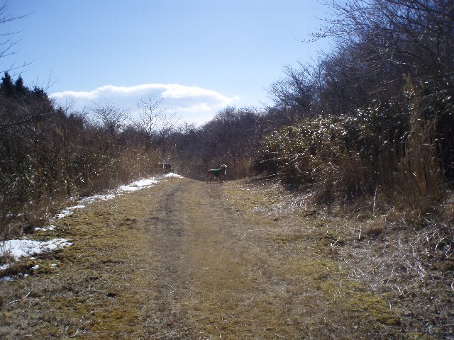 ３月２６日富士山須山口登山歩道 186
