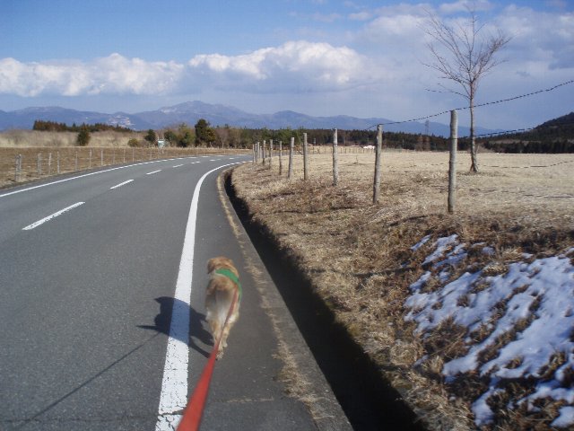 ３月２６日富士山須山口登山歩道 190