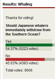 whale votes2