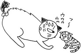 ケンカする猫のニャン太郎とシマシマシマシマシマシマ次郎