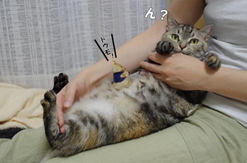 ちらっと更新02
