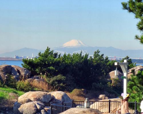 富士山は美しいネ！