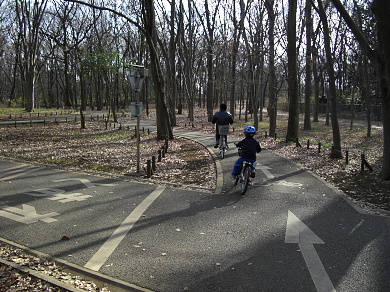 小金井公園のサイクリングコース