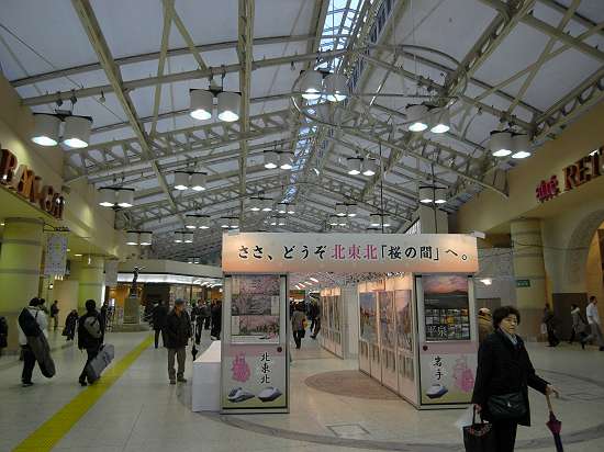 北東北「桜の間」 PRキャンペーン JR上野駅 グランドコンコース 220306 1-2-p-s