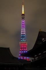 華嵐　嵐　×　東京タワー