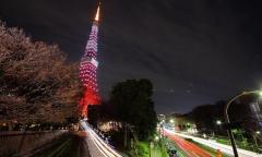 東京タワー　2012表示　待受画像