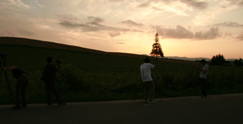 ツリーの木の夕日にカメラマ