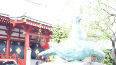 浅草寺の鳩の像