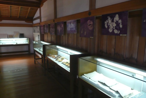 武田遺跡群の発掘資料の展示
