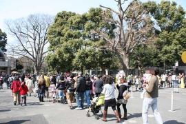 上野動物園１２