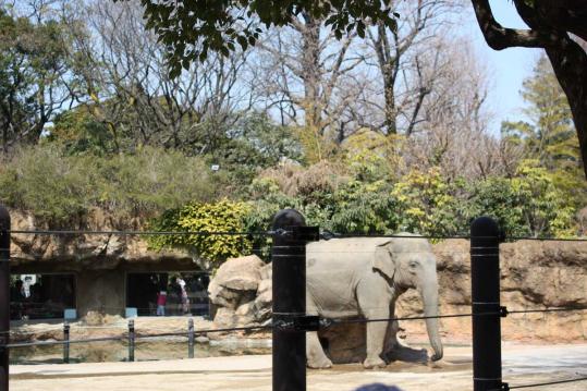 上野動物園１５