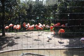 上野動物園２３