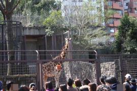 上野動物園０３