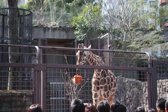 上野動物園１８