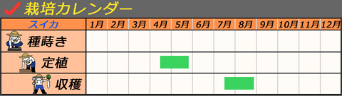 栽培カレンダー_スイカ