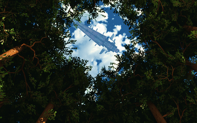 Forest_r.png